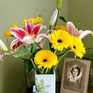 Meet your Posher, Gail